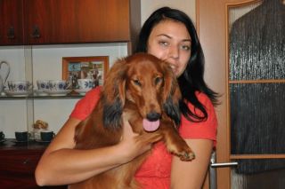 NADIM jamniki Kollapsar